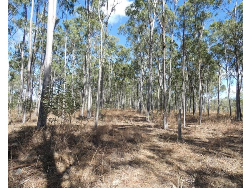 Lot 16 Tableland Road, Mount Maria QLD 4674