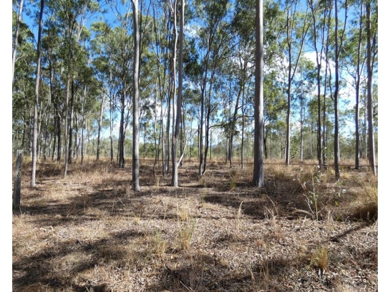 Lot 16 Tableland Road, Mount Maria QLD 4674