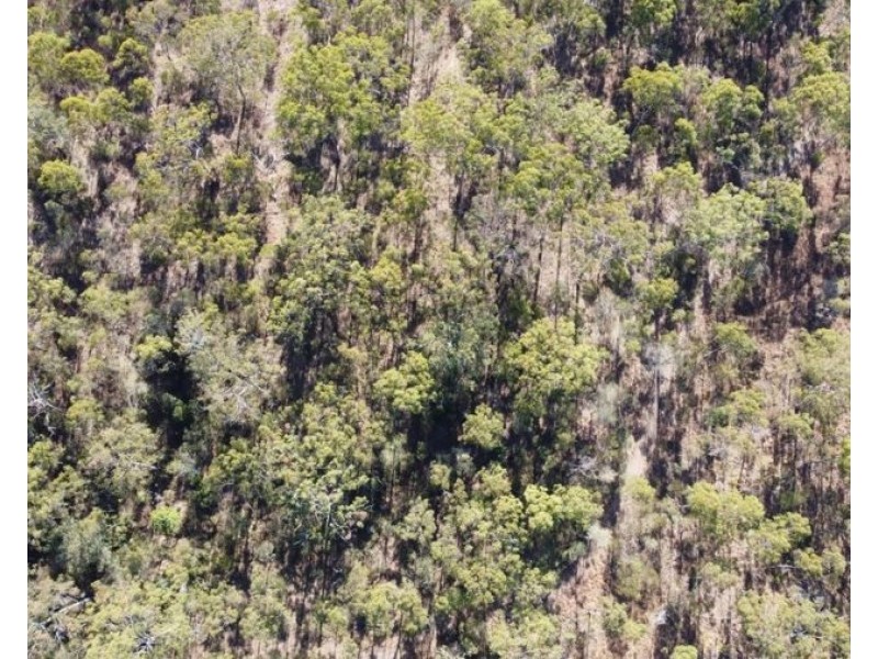 Lot 16 Tableland Road, Mount Maria QLD 4674