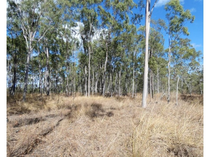 Lot 16 Tableland Road, Mount Maria QLD 4674