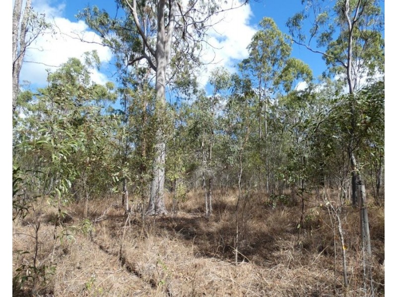 Lot 16 Tableland Road, Mount Maria QLD 4674