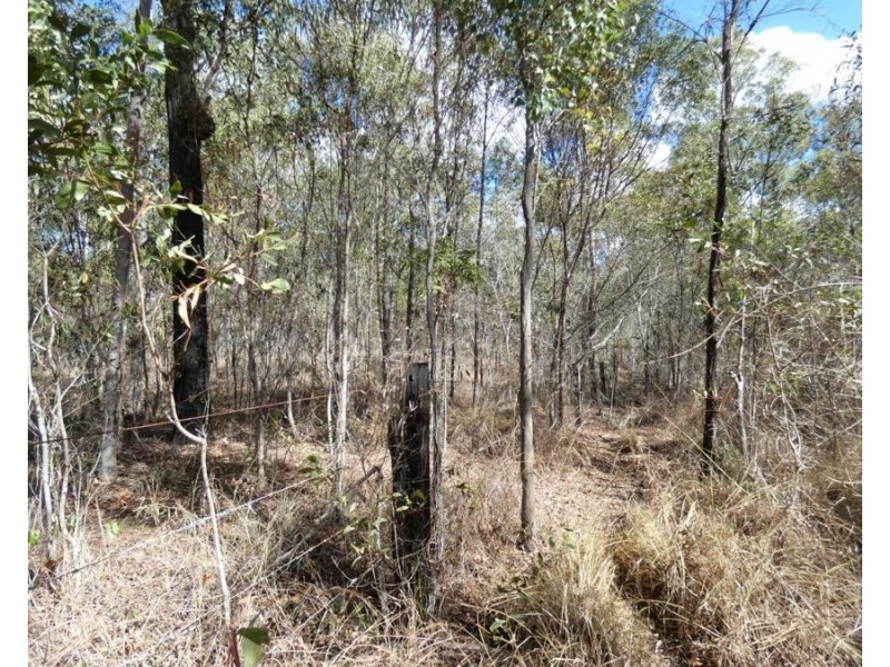 Lot 16 Tableland Road, Mount Maria QLD 4674