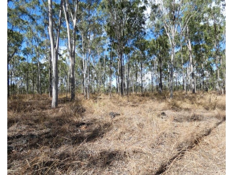 Lot 16 Tableland Road, Mount Maria QLD 4674
