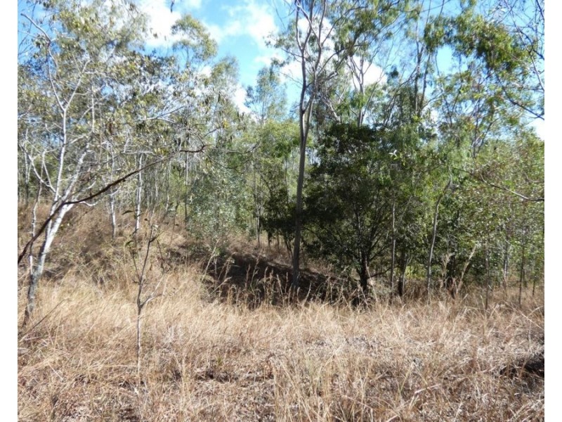 Lot 16 Tableland Road, Mount Maria QLD 4674