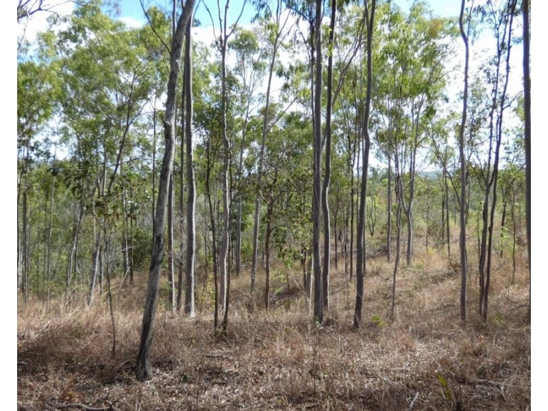 Lot 16 Tableland Road, Mount Maria QLD 4674