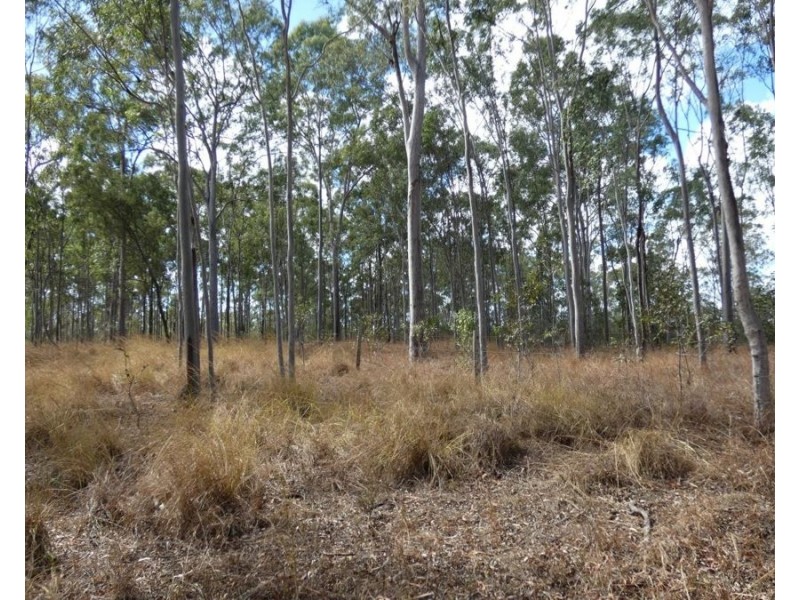Lot 16 Tableland Road, Mount Maria QLD 4674