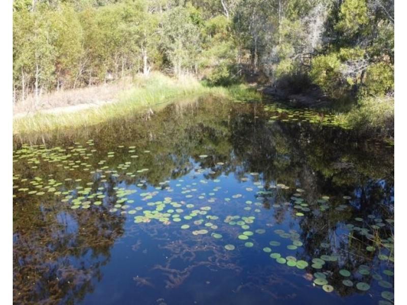 923 Winfield Road, Winfield QLD 4670