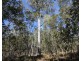 923 Winfield Road, Winfield QLD 4670