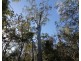 923 Winfield Road, Winfield QLD 4670