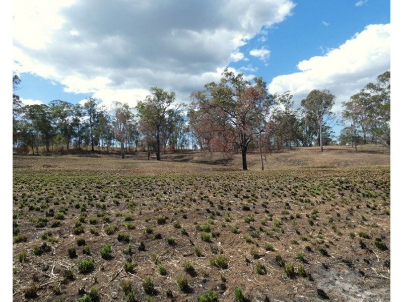 Lot 2 Leabons Road, Waterloo QLD 4673