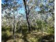 Lot 94 Fernfield Road, Deepwater QLD 4674