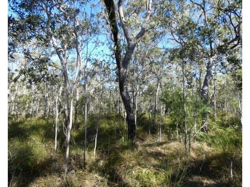 Lot 94 Fernfield Road, Deepwater QLD 4674