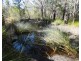 Lot 94 Fernfield Road, Deepwater QLD 4674