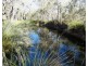 Lot 94 Fernfield Road, Deepwater QLD 4674