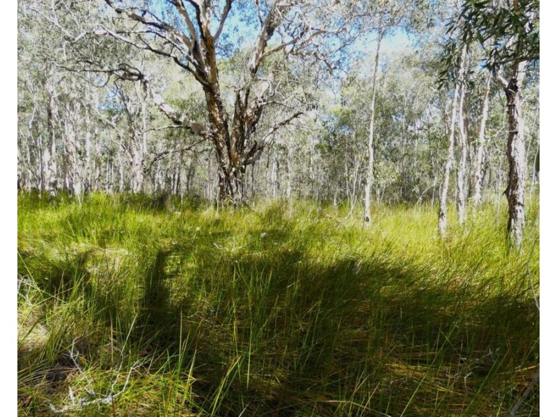 Lot 94 Fernfield Road, Deepwater QLD 4674