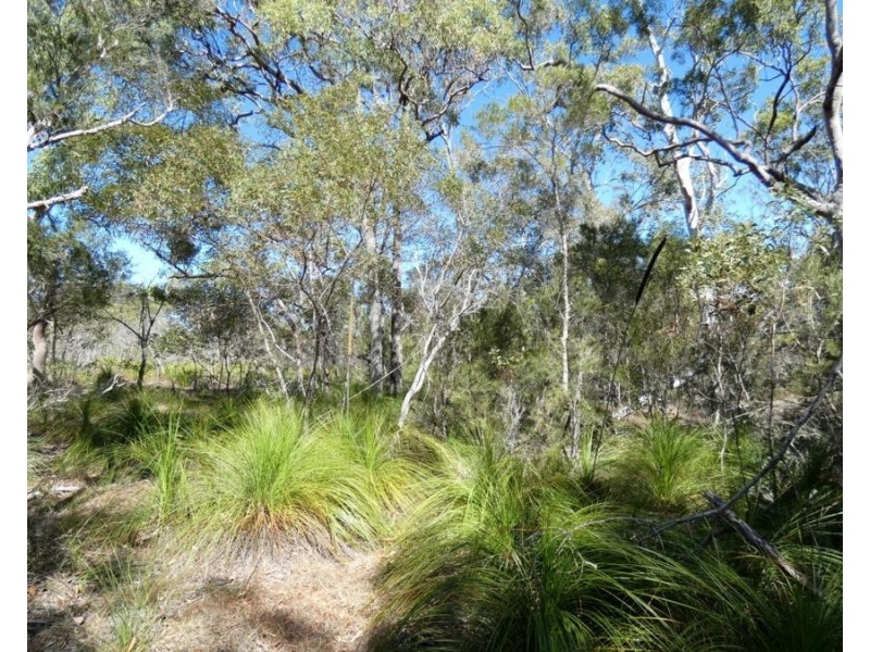 Lot 94 Fernfield Road, Deepwater QLD 4674