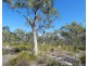 Lot 94 Fernfield Road, Deepwater QLD 4674