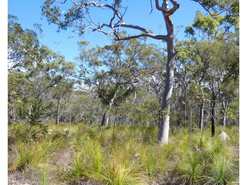 Lot 94 Fernfield Road, Deepwater QLD 4674