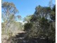Lot 94 Fernfield Road, Deepwater QLD 4674