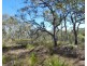 Lot 94 Fernfield Road, Deepwater QLD 4674