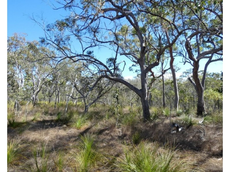 Lot 94 Fernfield Road, Deepwater QLD 4674