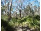 Lot 94 Fernfield Road, Deepwater QLD 4674
