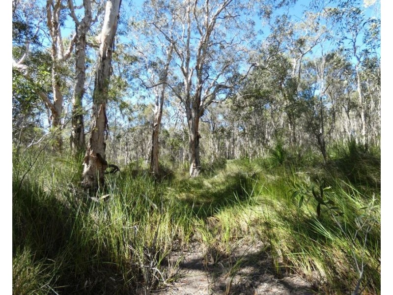 Lot 94 Fernfield Road, Deepwater QLD 4674