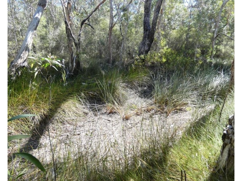 Lot 94 Fernfield Road, Deepwater QLD 4674