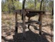 Lot 131 Seabreeze Court, Deepwater QLD 4674