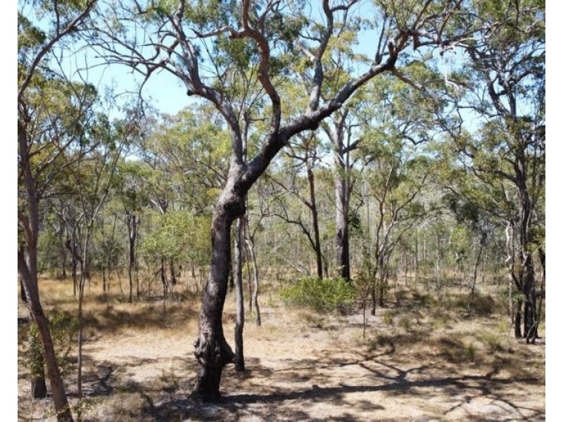 Lot 131 Seabreeze Court, Deepwater QLD 4674
