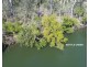 255 Mollenhagens Road, Winfield QLD 4670
