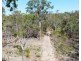 255 Mollenhagens Road, Winfield QLD 4670
