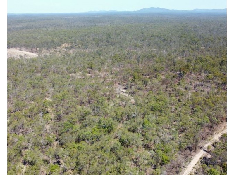 255 Mollenhagens Road, Winfield QLD 4670