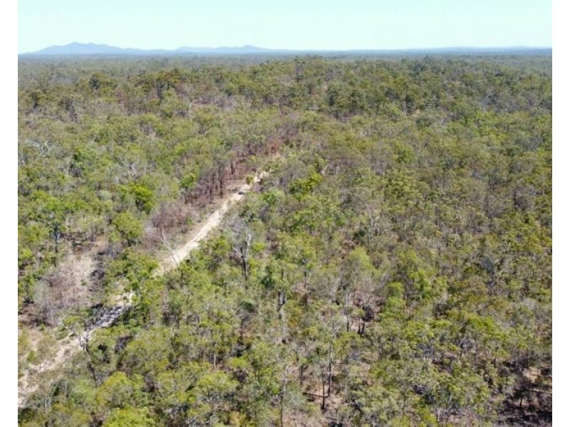 255 Mollenhagens Road, Winfield QLD 4670
