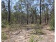 255 Mollenhagens Road, Winfield QLD 4670