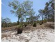 306 Bells Road, Rodds Bay QLD 4678