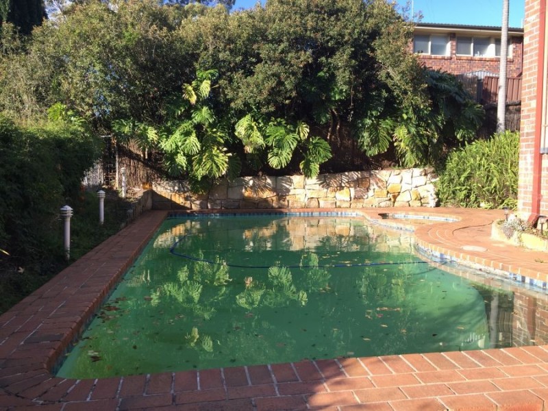 24 Grevillea Grove, Baulkham Hills NSW 2153