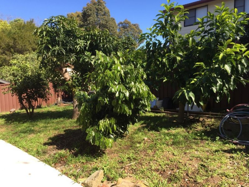 5a Tiernan Ave, North Rocks NSW 2151