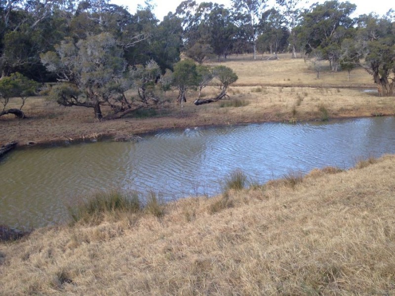 138 Pitt Town Road, Mcgraths Hill NSW 2756