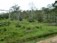 2812 Kalpowar Road, Kalpowar QLD 4630