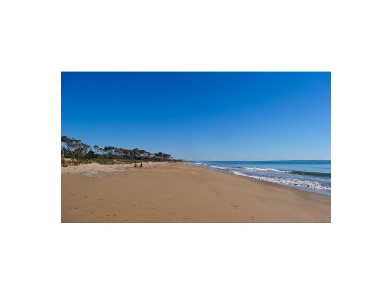 24 Plum Tree Crescent, Moore Park Beach QLD 4670