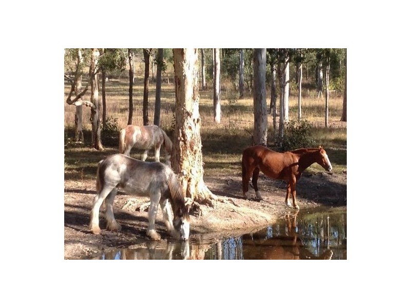 267 Duckpond Road, Gin Gin QLD 4671