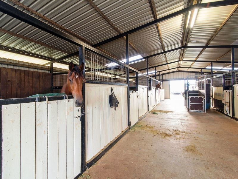 379 Wellcamp-Westbrook Road, Westbrook QLD 4350