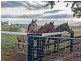 379 Wellcamp-Westbrook Road, Westbrook QLD 4350