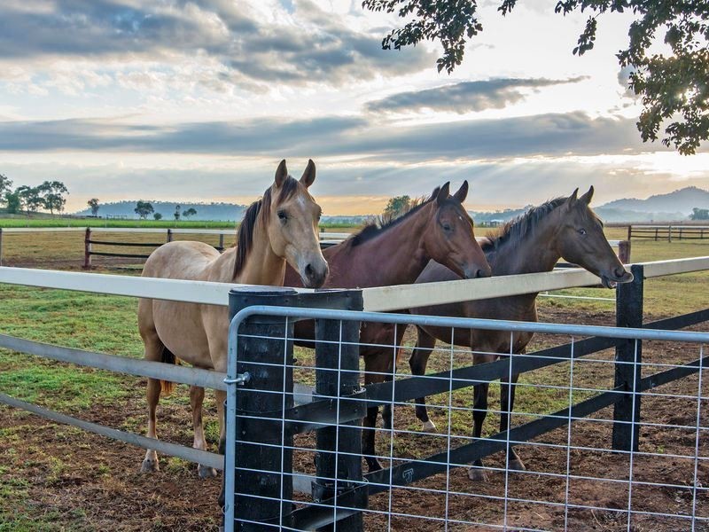 379 Wellcamp-Westbrook Road, Westbrook QLD 4350