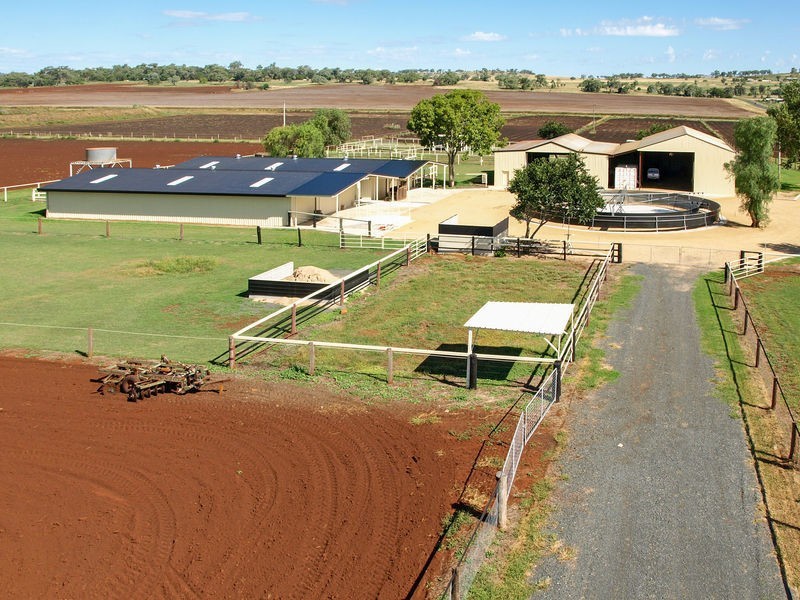 379 Wellcamp-Westbrook Road, Westbrook QLD 4350