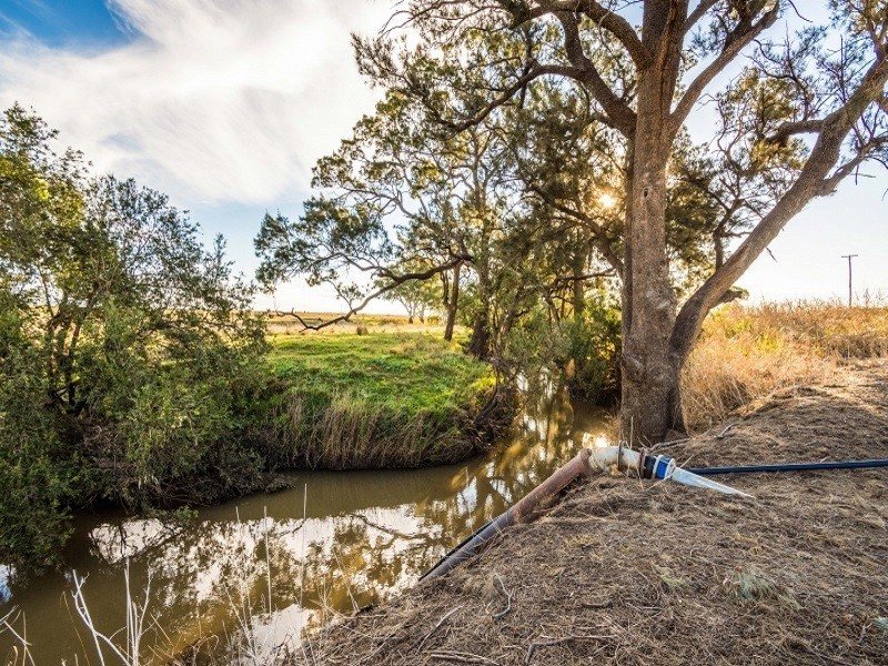 277 Jondaryan-Mt Tyson Road, Jondaryan QLD 4403