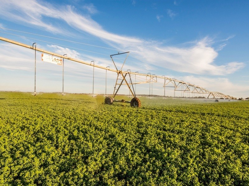 277 Jondaryan-Mt Tyson Road, Jondaryan QLD 4403