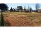 379 Wellcamp-Westbrook Road, Westbrook QLD 4350