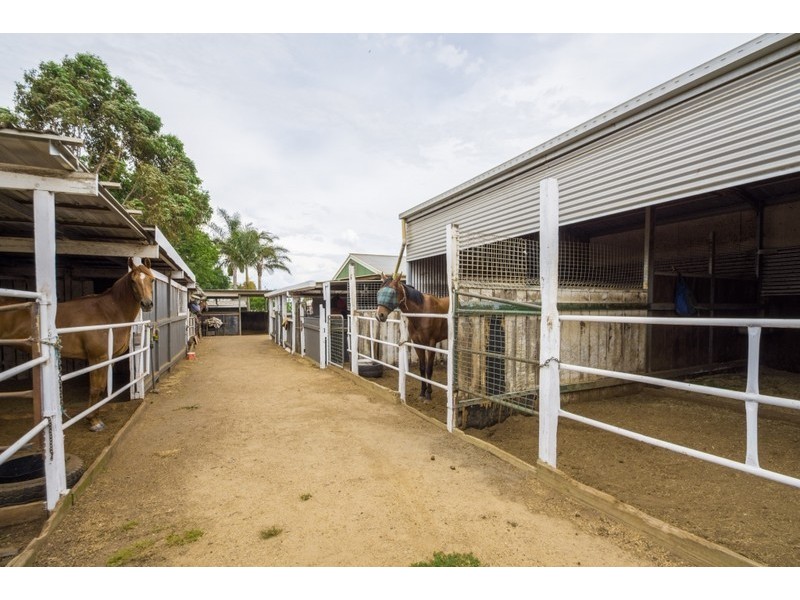 21 McDowall Street, Newtown QLD 4350